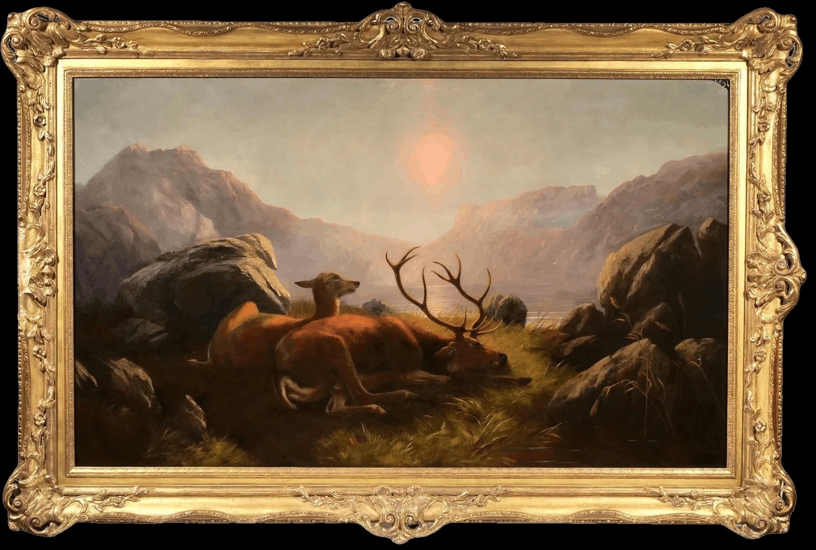 Stag and Doe Before Sunset - overall, framed