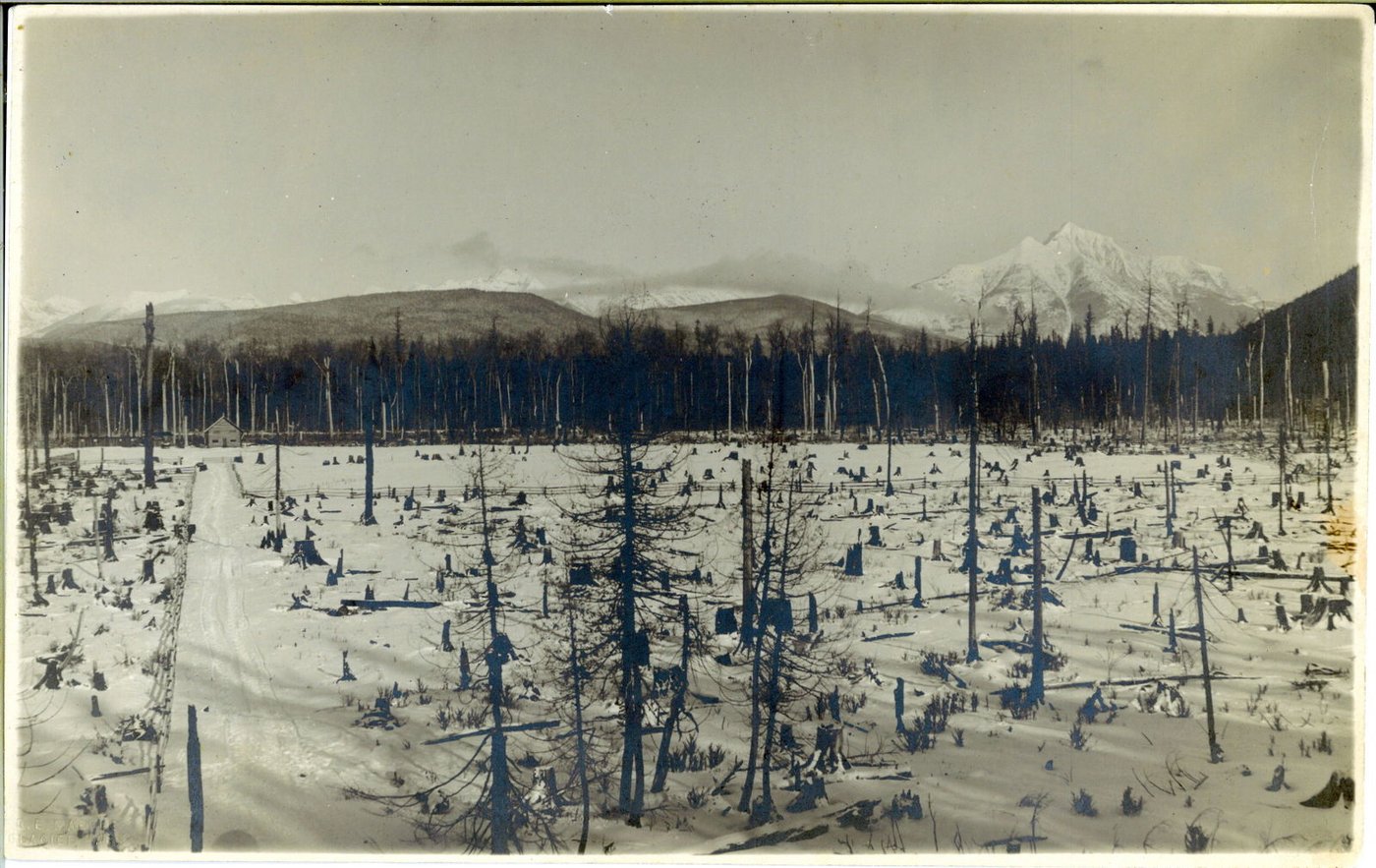 Vaught Home, Belton, Montana - 1909