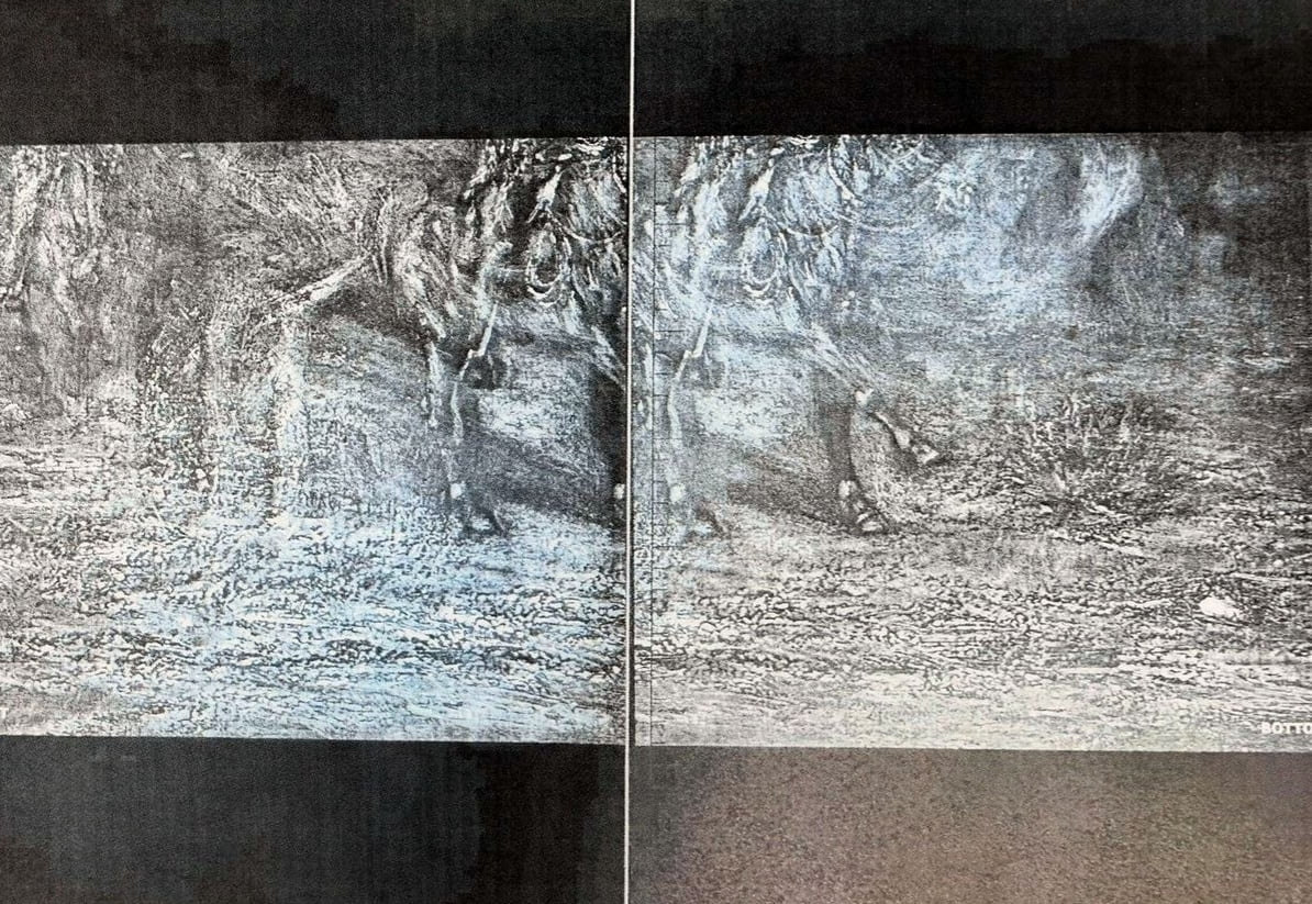 2024 X-ray radiograph — lower register